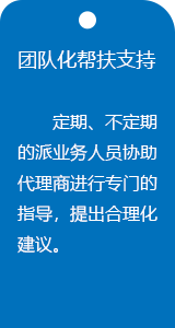 團(tuán)隊(duì)化幫扶支持
