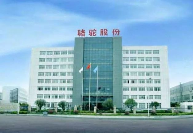 新疆駱駝集團(tuán)采購濾中濾開水器